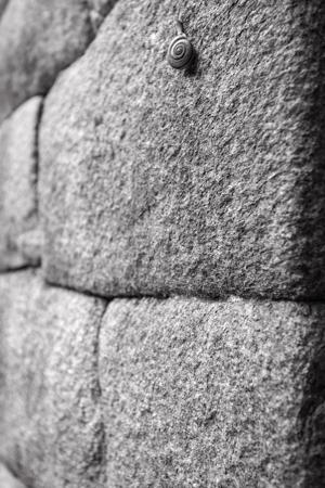 Snail on Inca ruins